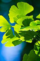 Praxis wegen Hochwasserschäden geschlossen! Hier sind unsere Vertretungen …