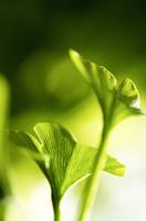 Praxis wieder normal geöffnet und erreichbar