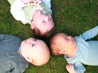 Dreimal Nachwuchs in der Praxis